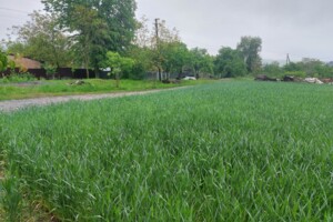 Продаж ділянки під житлову забудову, Вінницька, Селище (Тиврів), Леонтовича (Ватутіна) вулиця