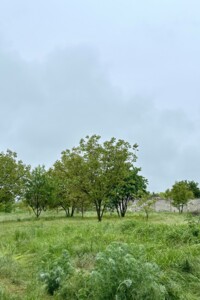 Продаж землі сільськогосподарського призначення, Одеська, Лиманка, вулиця Братів Стицьковських