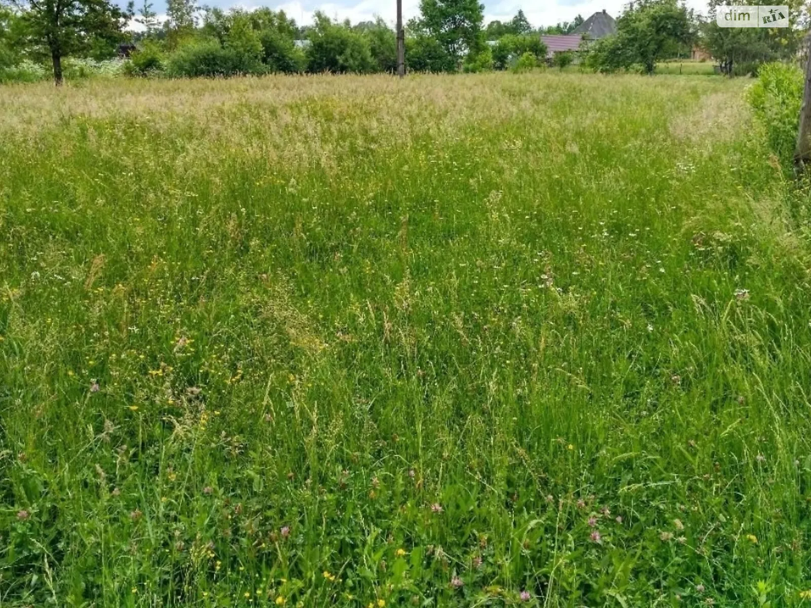 Продається земельна ділянка 20 соток у  області, цена: 20000 $ - фото 1