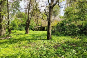 Продаж ділянки під житлову забудову, Київська, Мала Стариця (Бориспіль), Василя Симиренка (Мічуріна) вулиця