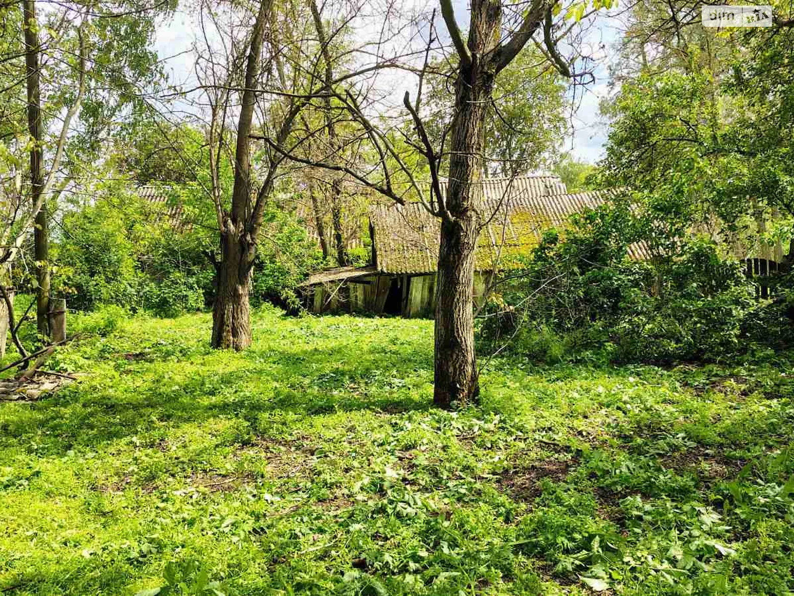 ул. Василия Симиренко(Мичурина) Малая Старица (Борисполь), цена: 24000 $ - фото 1