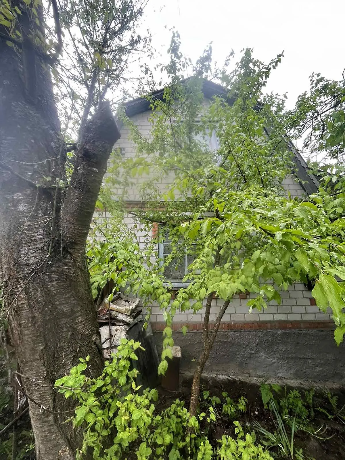Продається одноповерховий будинок 35 кв. м з садом, цена: 18000 $ - фото 1