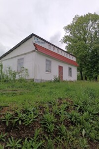 Продаж спеціального приміщення, Вінницька, Байківка, Центральна вулиця