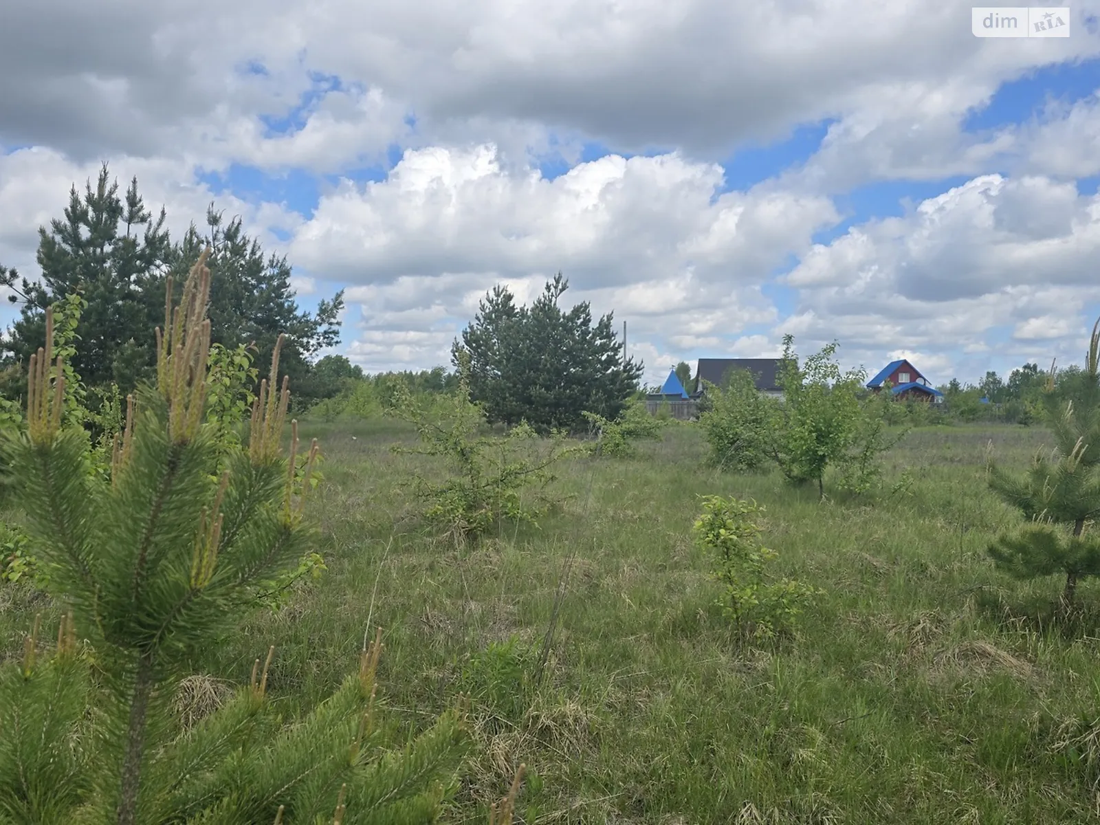 Продається земельна ділянка 8 соток у Житомирській області, цена: 8300 $ - фото 1