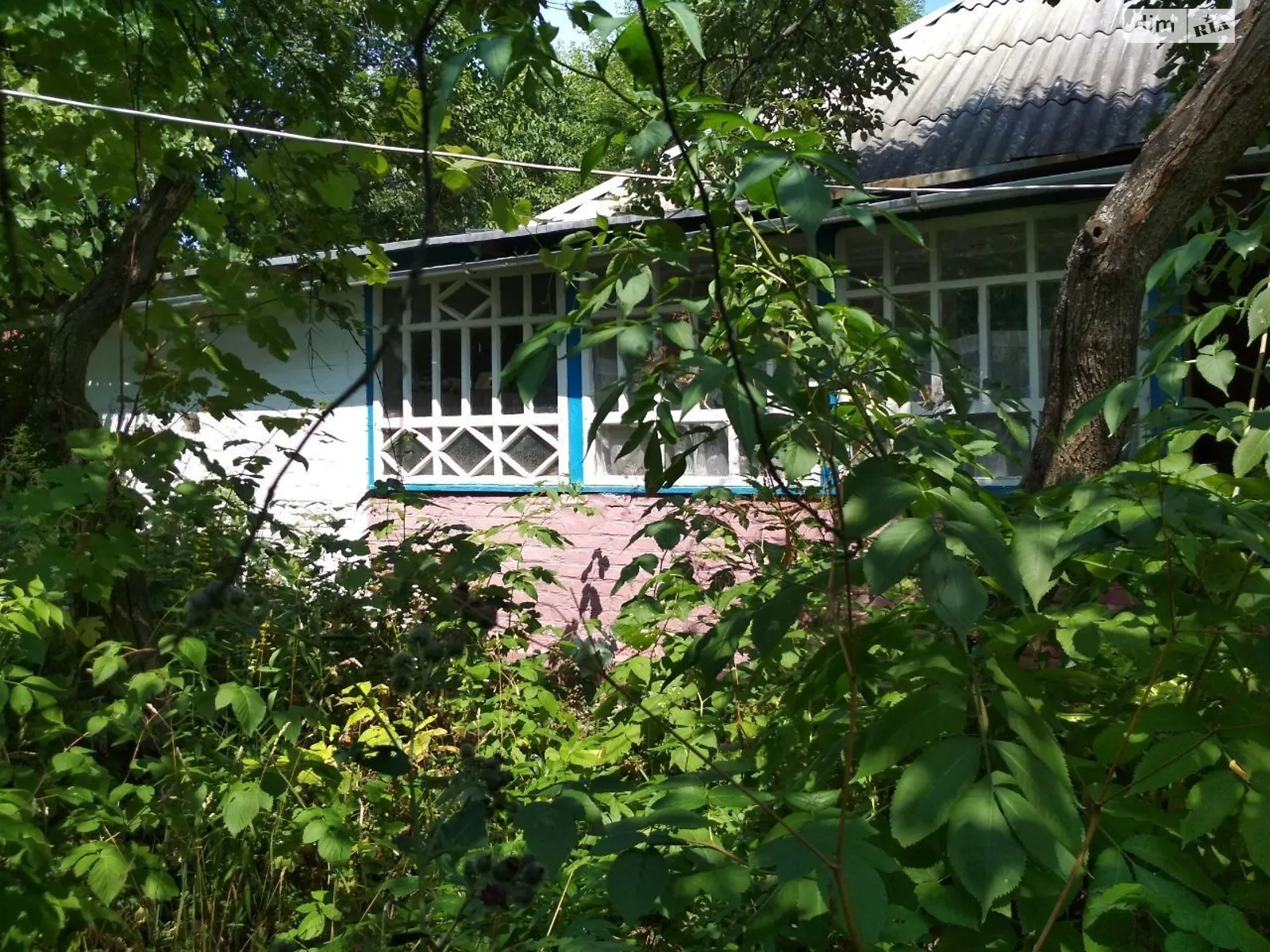 Продается одноэтажный дом 87 кв. м с подвалом, цена: 20000 $ - фото 1