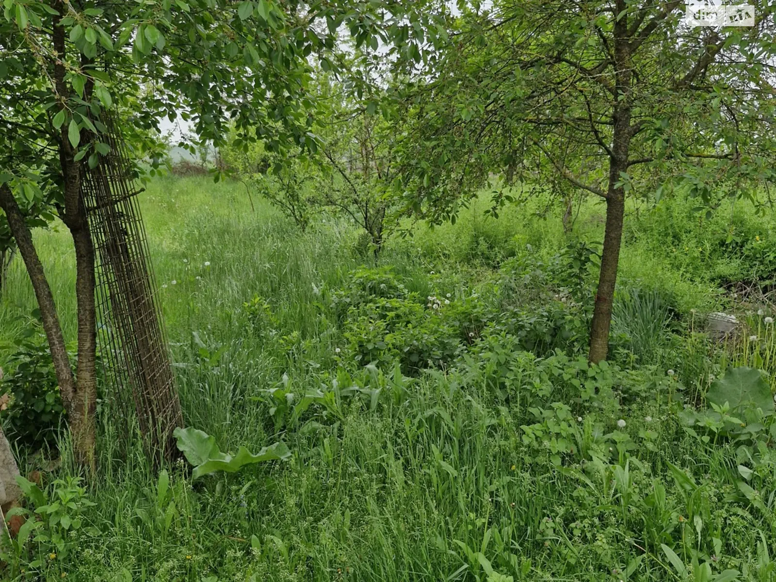 Продається земельна ділянка 29 соток у Вінницькій області, цена: 116000 $ - фото 1