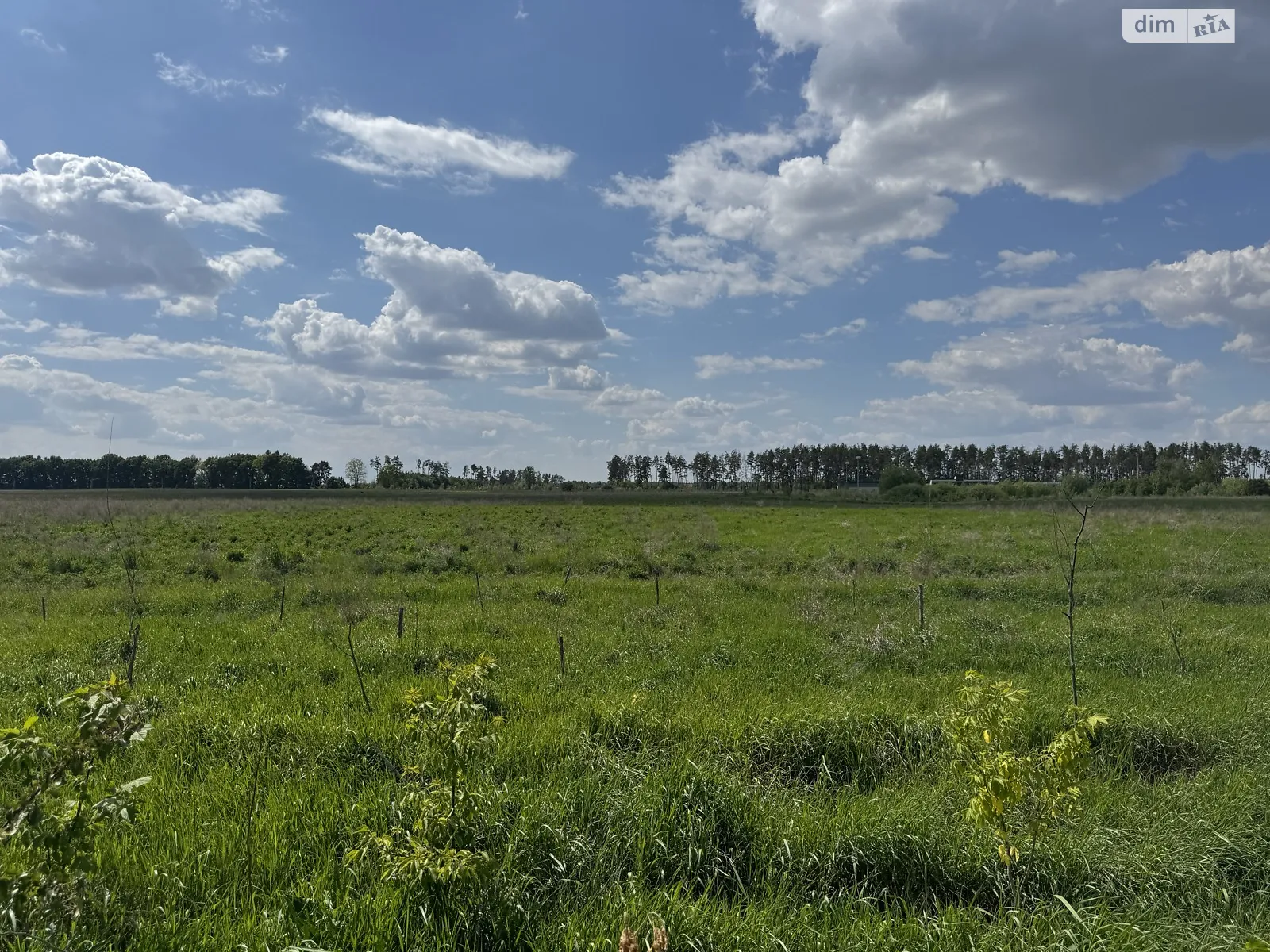 Продається земельна ділянка 21 соток у Київській області, цена: 525000 $ - фото 1