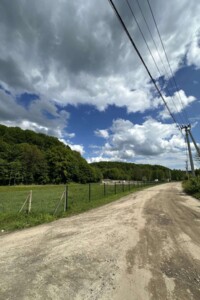 Продажа земли сельскохозяйственного назначения, Львовская, Рокитное