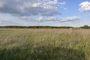 Продаж землі сільськогосподарського призначення, Вінницька, Якушинці