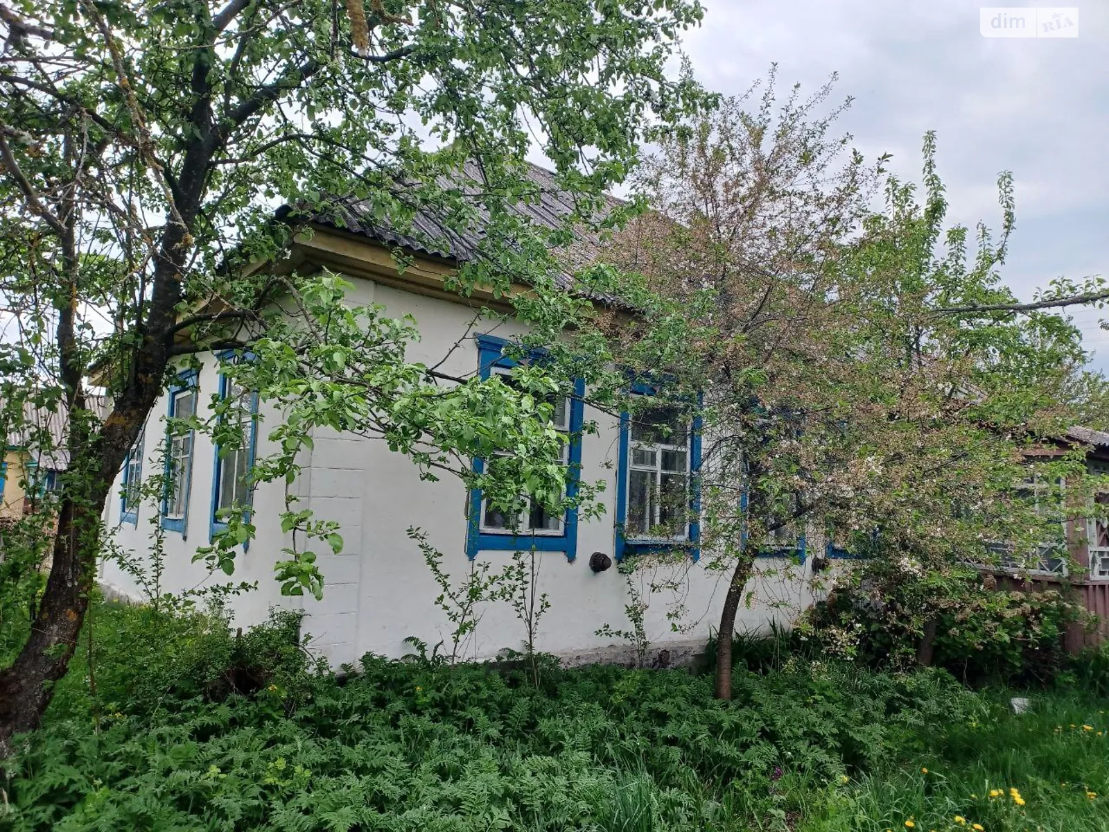 Продається одноповерховий будинок 80 кв. м з верандою, цена: 9000 $ - фото 1