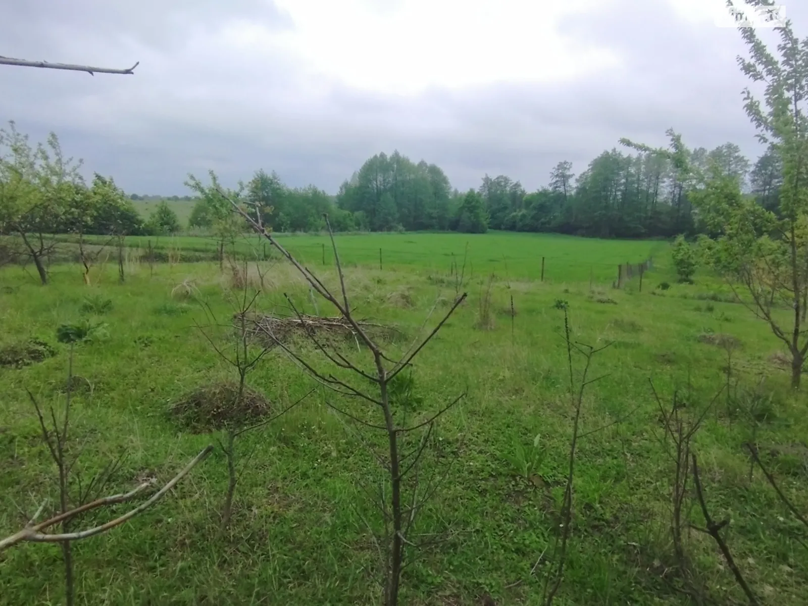 Продається земельна ділянка 19.41 соток у Вінницькій області, цена: 3000 $ - фото 1