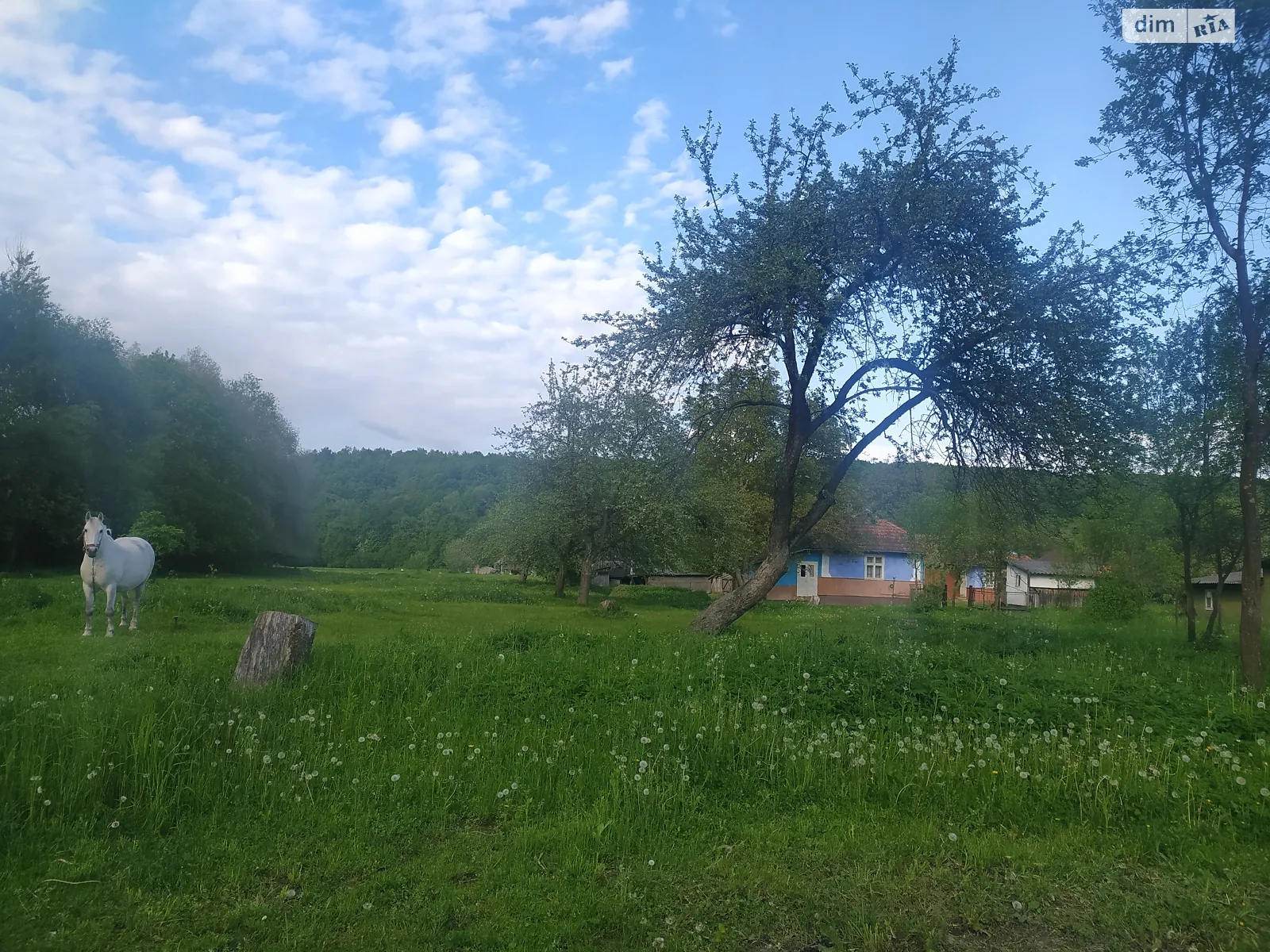 Продается одноэтажный дом 69 кв. м с садом, цена: 25000 $ - фото 1
