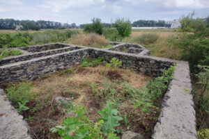 Продажа участка под жилую застройку, Черкасская, Вергуны, Вишнёвая улица
