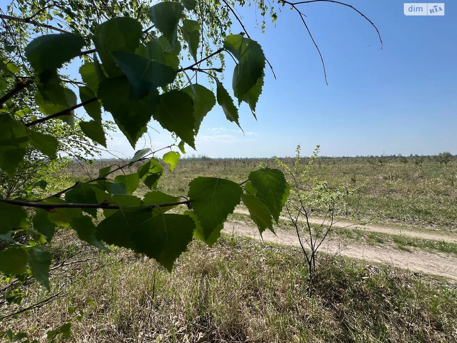 Продается земельный участок 84.59 соток в Киевской области, цена: 19000 $ - фото 1