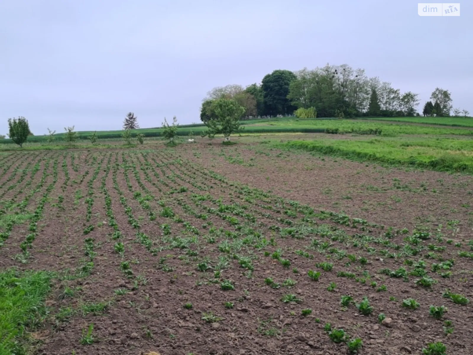 Продается одноэтажный дом 93.1 кв. м с садом, цена: 23000 $ - фото 1