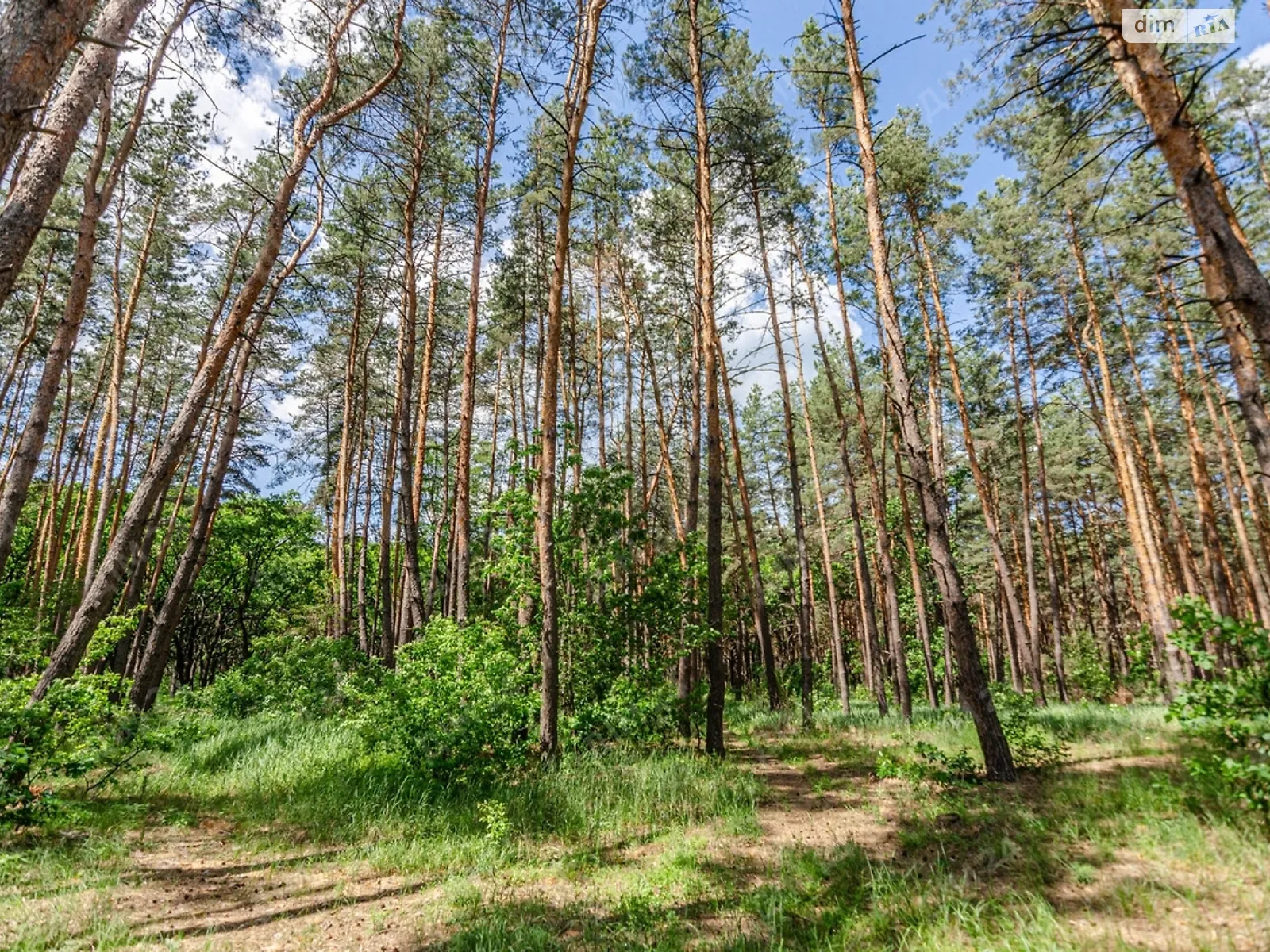 Продается одноэтажный дом 43.3 кв. м с камином, цена: 17700 $ - фото 1
