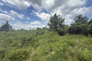Продажа участка под жилую застройку, Закарпатская, Великие Лазы, Кольцевая улица