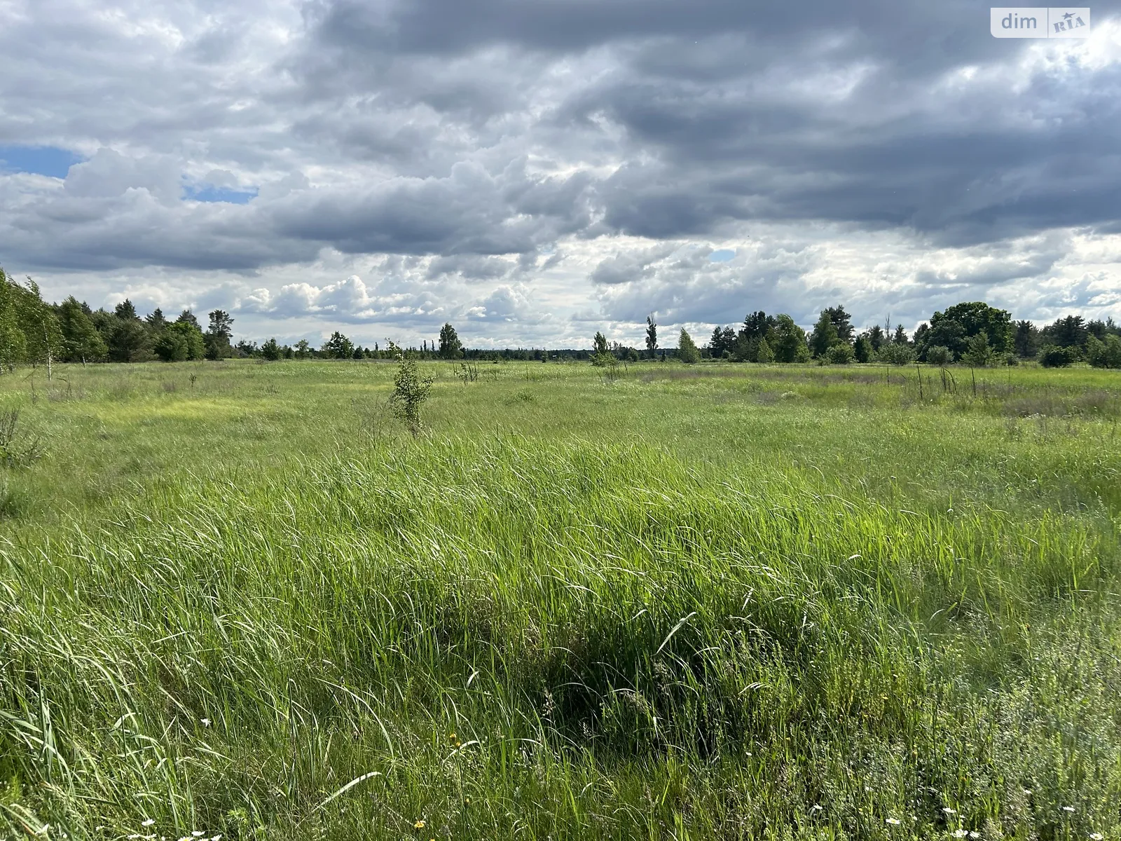 пров. Лісовий Лебедівка, цена: 38400 $ - фото 1