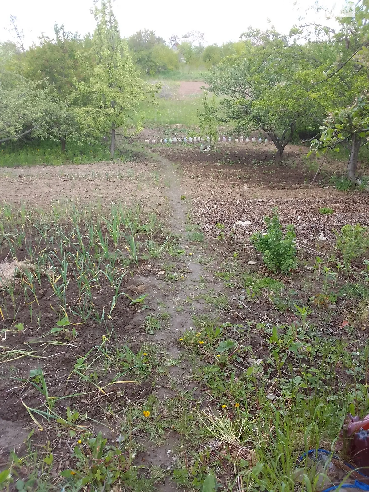 Лука-Мелешківська, цена: 2500 $ - фото 1