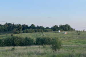 Продажа земли сельскохозяйственного назначения, Хмельницкая, Лесовые Гриновцы
