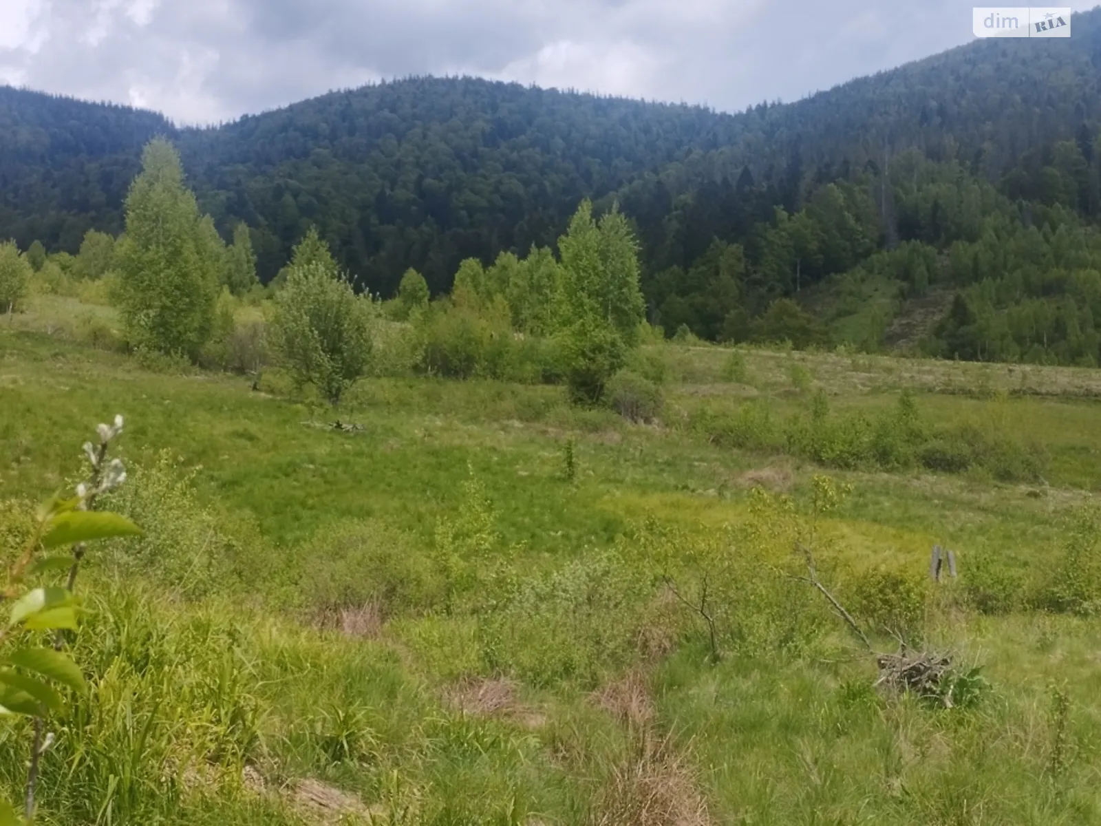 Продається земельна ділянка 7 соток у Івано-Франківській області, цена: 10500 $ - фото 1