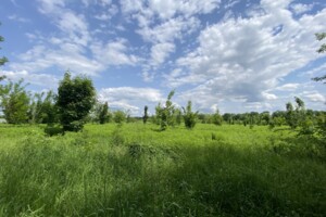 Продажа земли сельскохозяйственного назначения, Винницкая, Бохоники, Гниванское шоссе