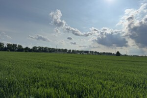 Продаж землі сільськогосподарського призначення, Хмельницька, Лісові Гринівці