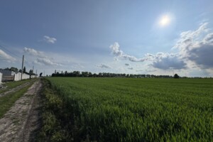 Продаж землі сільськогосподарського призначення, Хмельницька, Лісові Гринівці