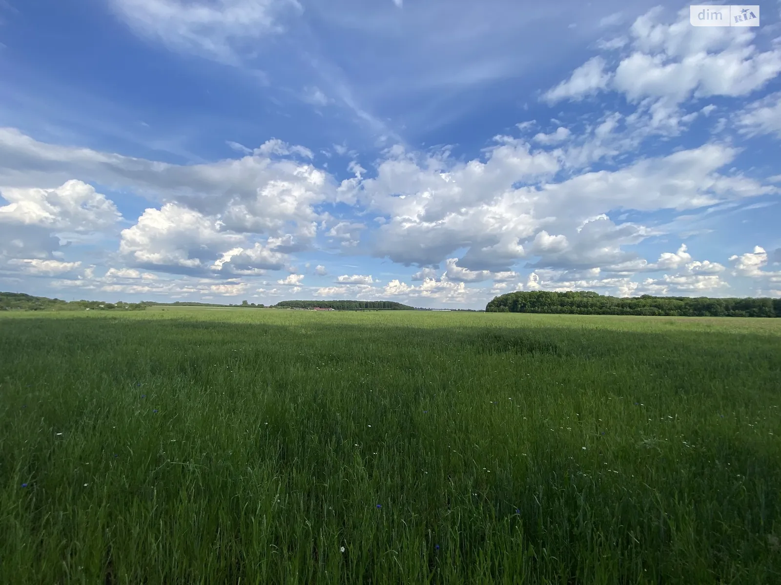 Яришівка (Тиврів), цена: 15000 $ - фото 1