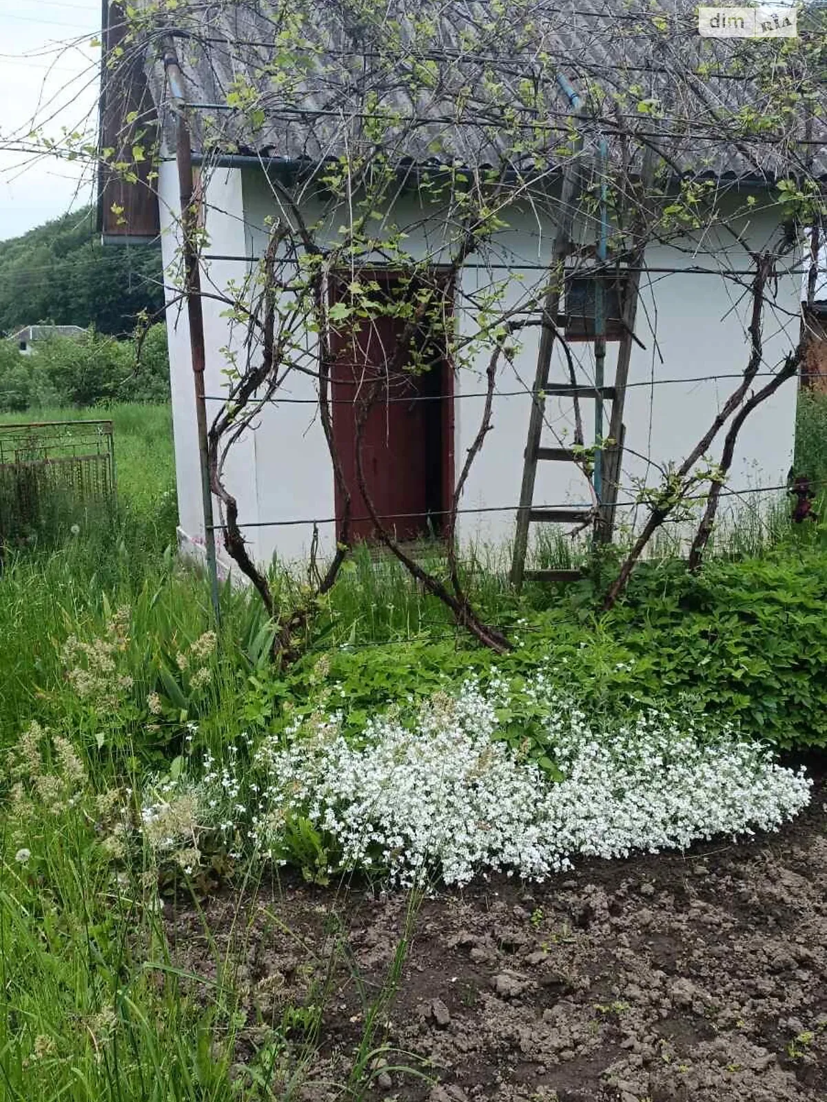Продается одноэтажный дом 70 кв. м с террасой, цена: 30000 $ - фото 1