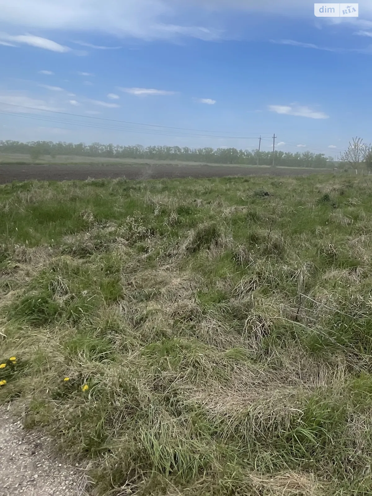 Продається земельна ділянка 5 соток у Тернопільській області, цена: 5000 $ - фото 1