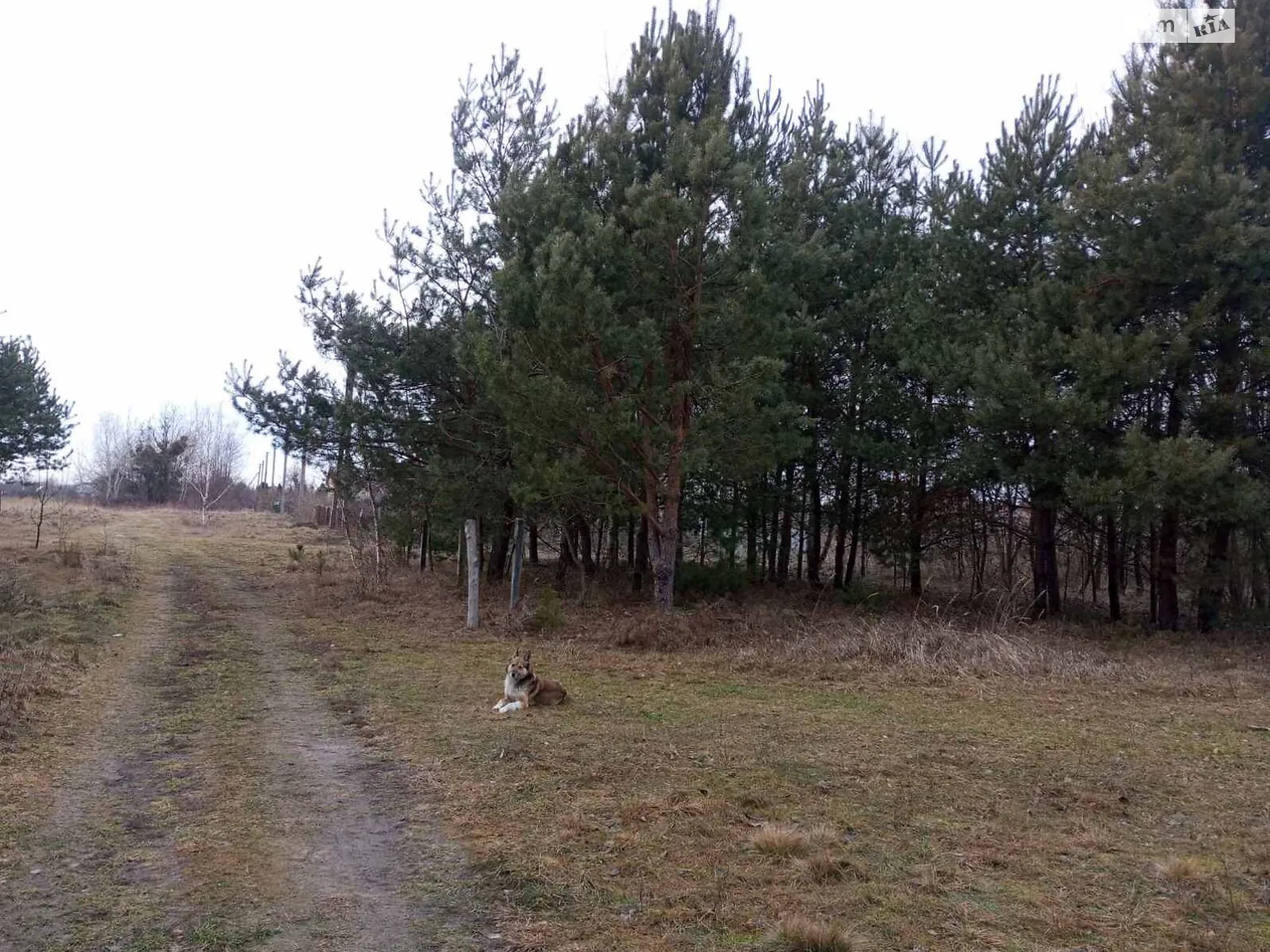 Продается земельный участок 25 соток в Львовской области, цена: 10500 $ - фото 1