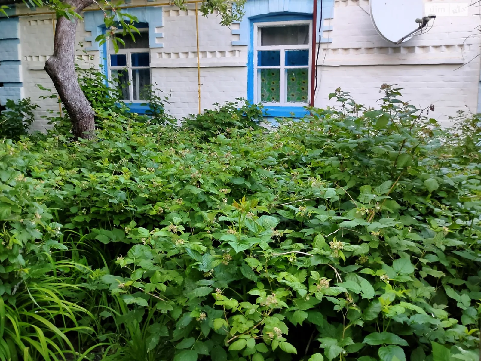 Продается одноэтажный дом 102.7 кв. м с мансардой, цена: 6000 $ - фото 1
