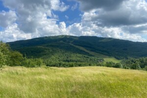 Продажа участка под жилую застройку, Закарпатская, Вышка, Центральная улица