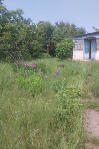 Продажа дома, Киевская, Засупоевка, вулиця Центральна