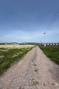 Продажа земли коммерческого назначения, Хмельницкая, Лесовые Гриновцы