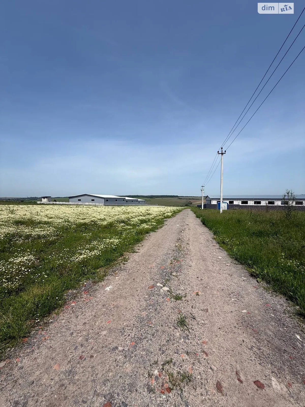 Лесовые Гриновцы, цена: 80000 $ - фото 1