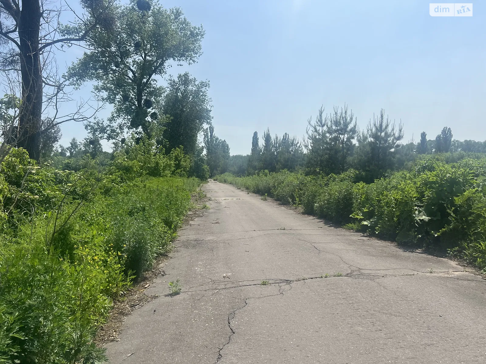 Продается земельный участок 10 соток в Винницкой области, цена: 10000 $ - фото 1