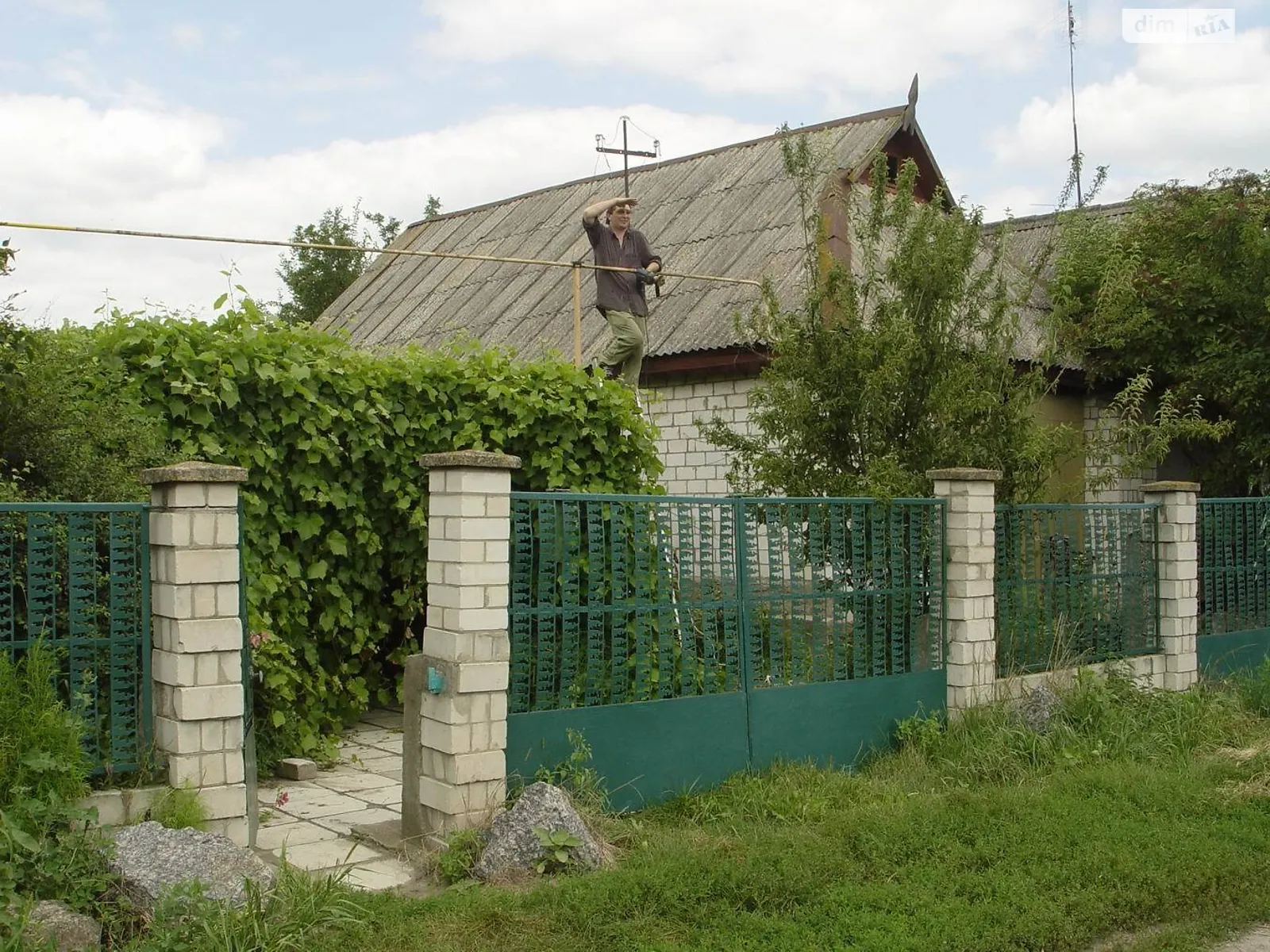 вул. Центральна Криве, цена: 200000 грн - фото 1