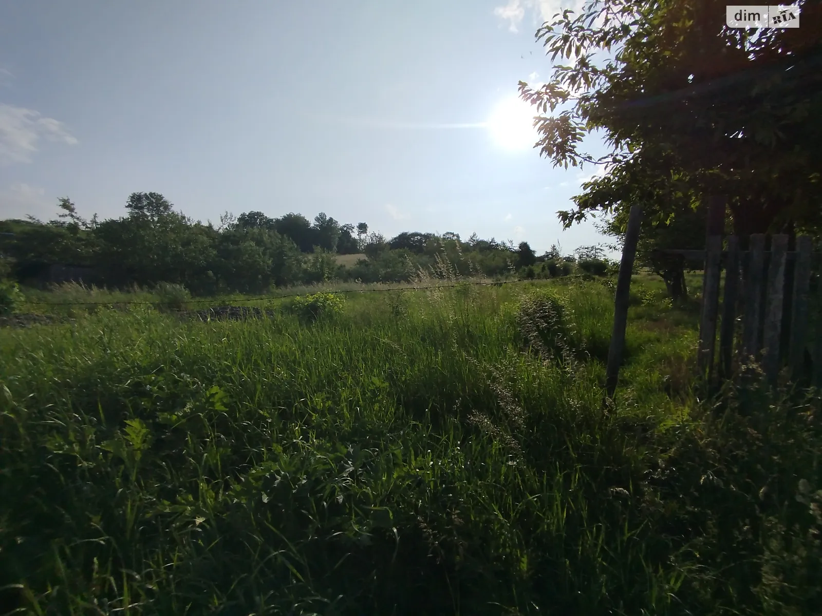 Продается земельный участок 25 соток в Винницкой области, цена: 25500 $ - фото 1
