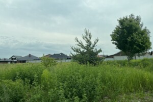Продажа земли сельскохозяйственного назначения, Винницкая, Березина, Независимости улица