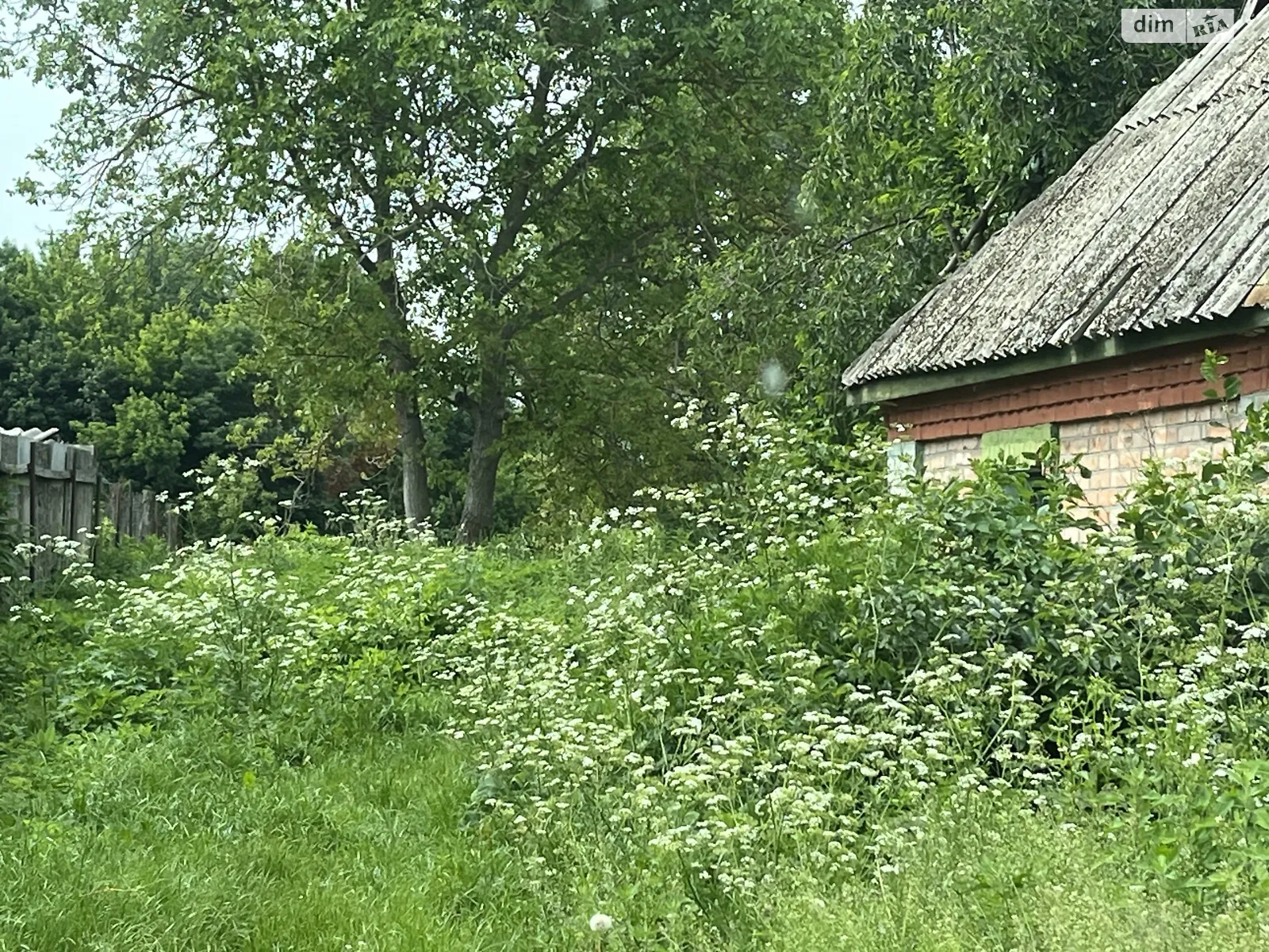 Горбанівка, цена: 10000 $ - фото 1