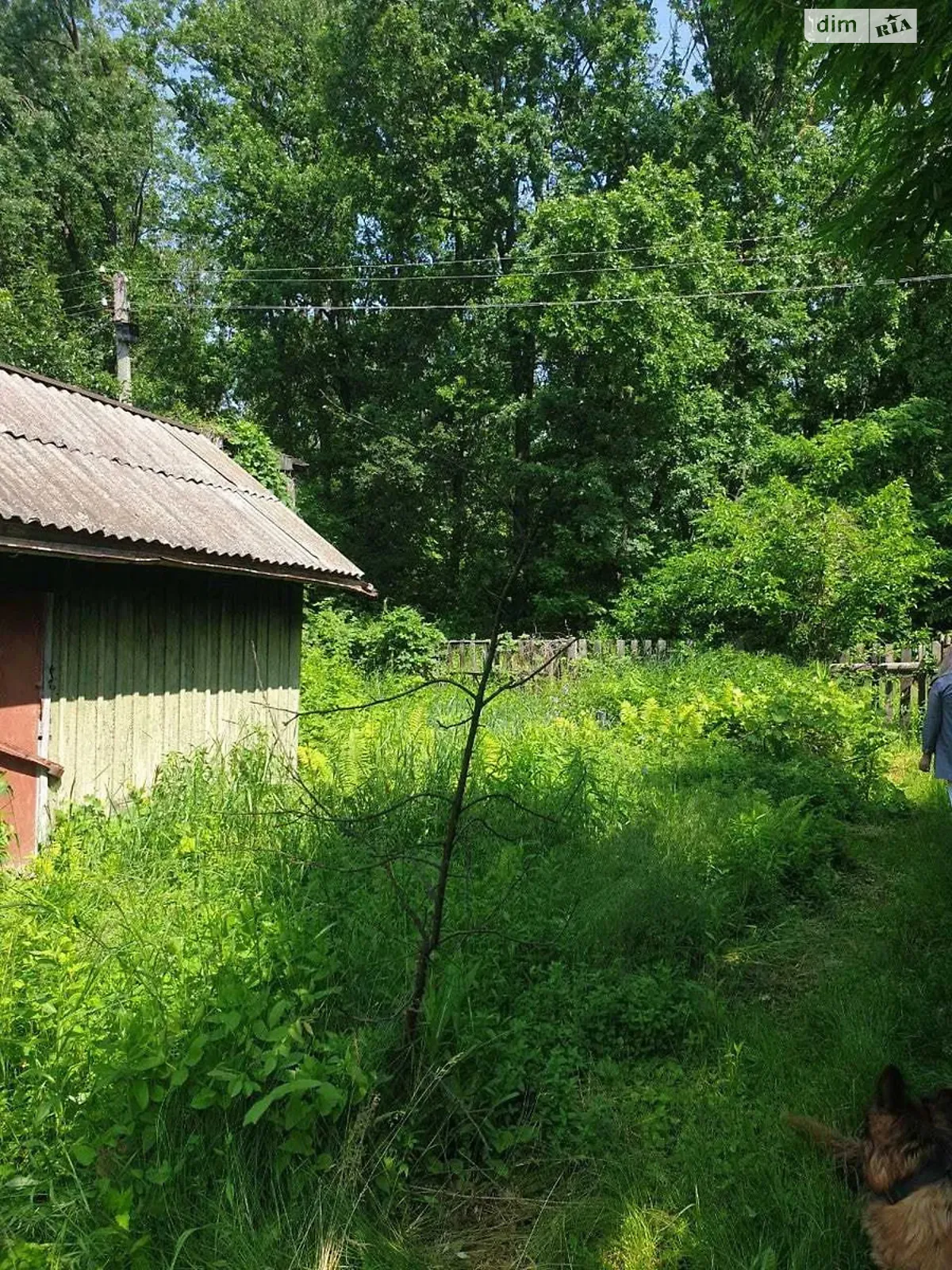 Продается одноэтажный дом 35 кв. м с бассейном, цена: 9000 $ - фото 1