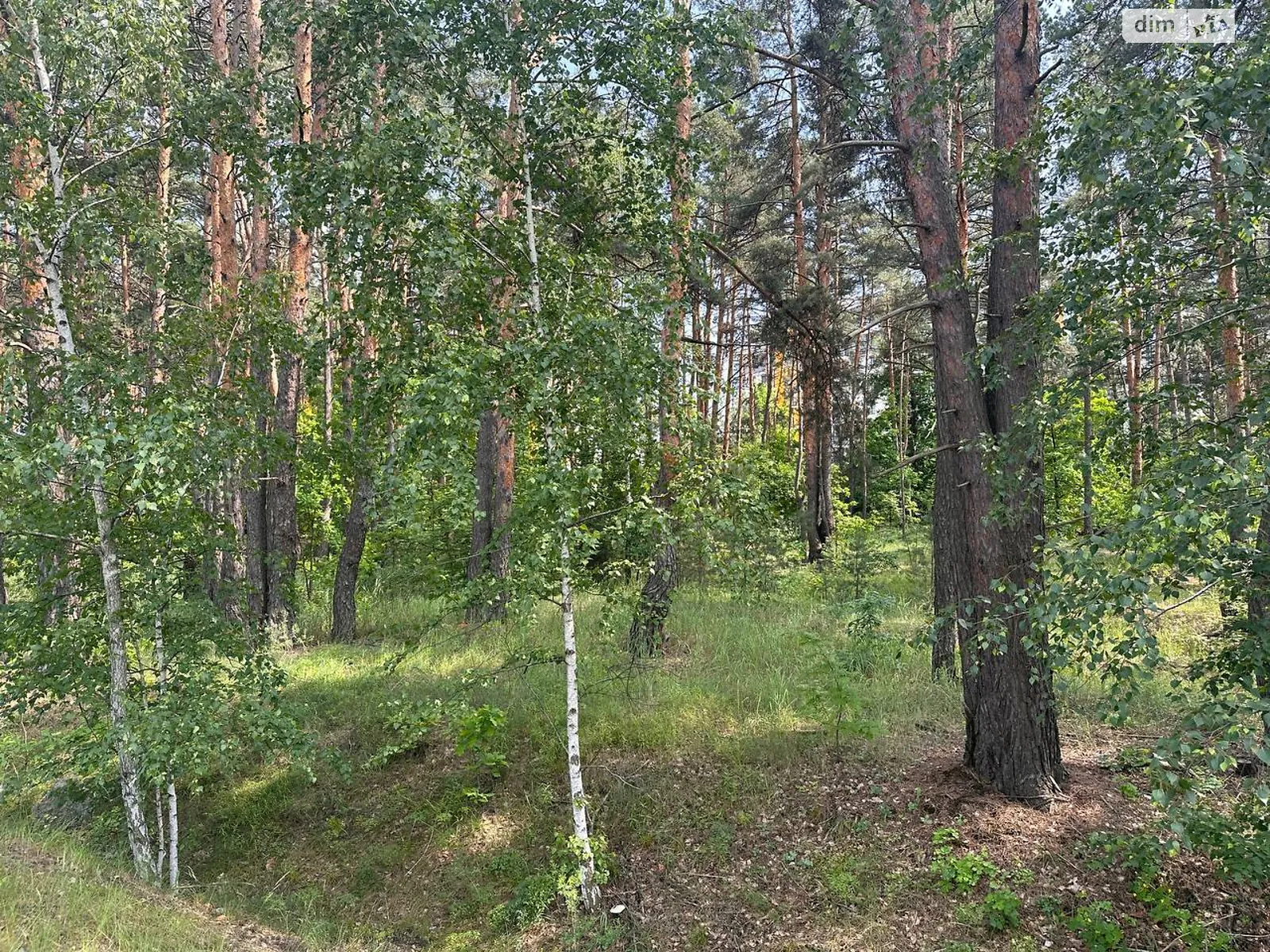 Гостомельское шоссе Гостомель, цена: 235000 $ - фото 1