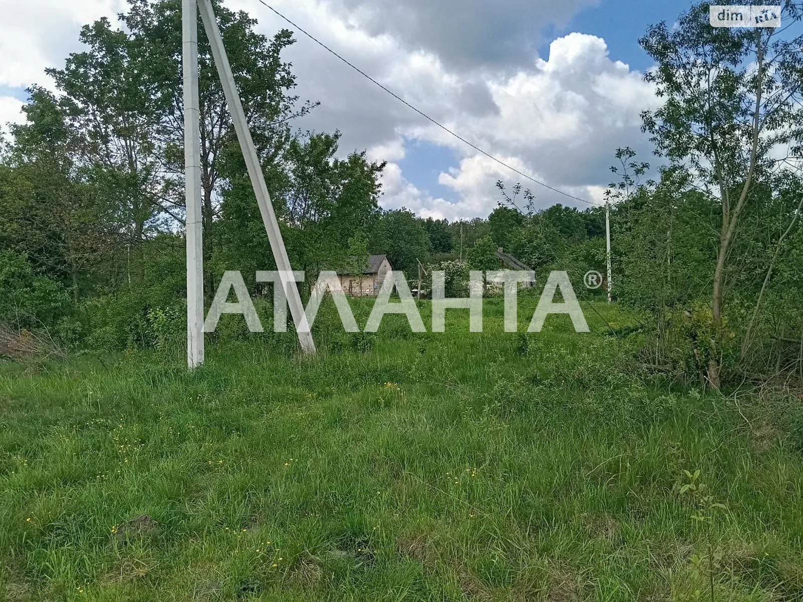 Бор-Кунинский, цена: 8000 $ - фото 1