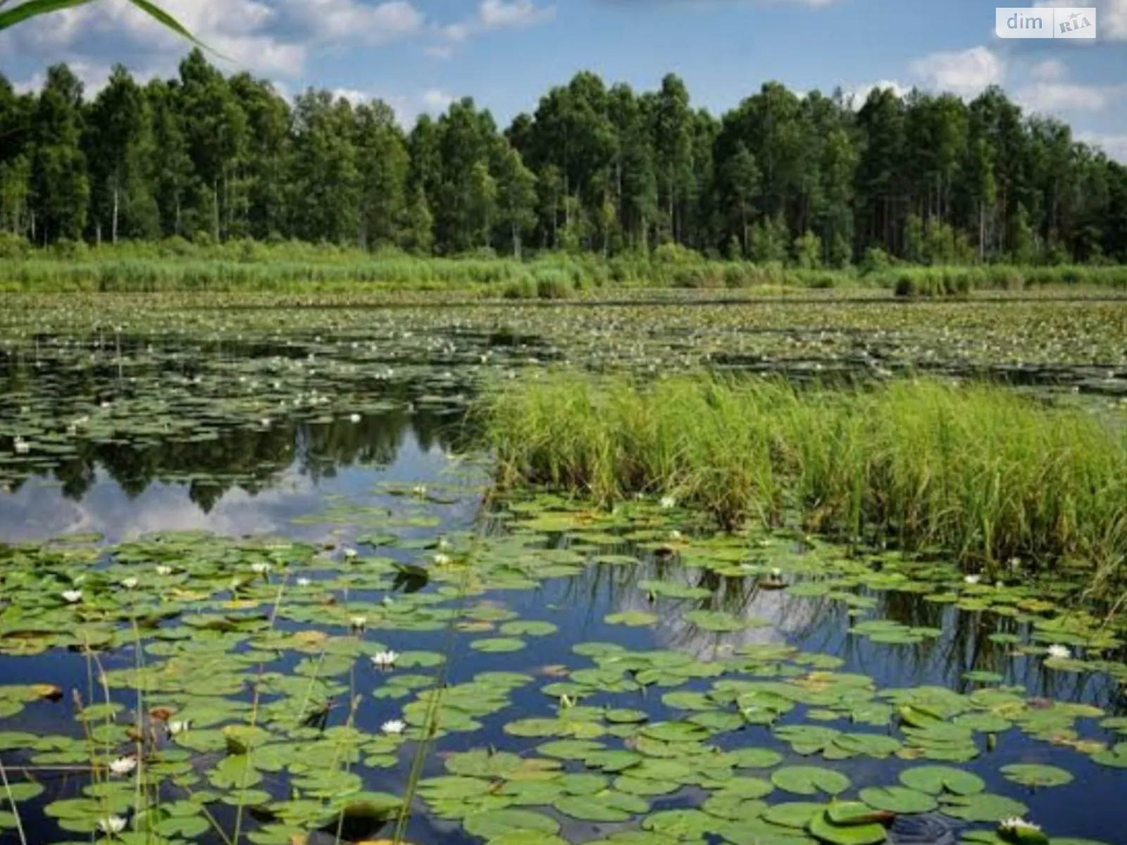 вул. Холодкова Глібівка, цена: 8000 $ - фото 1