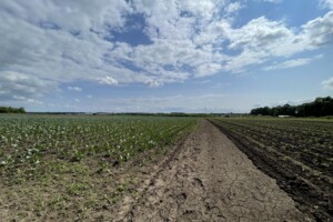 Куплю земельный участок в Вінниці без посредников