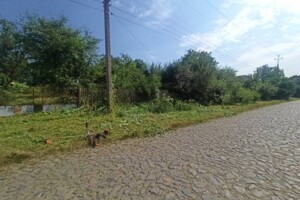 Продаж будинку, Хмельницька, Требухівці, Першотравнева вулиця, буд. 17