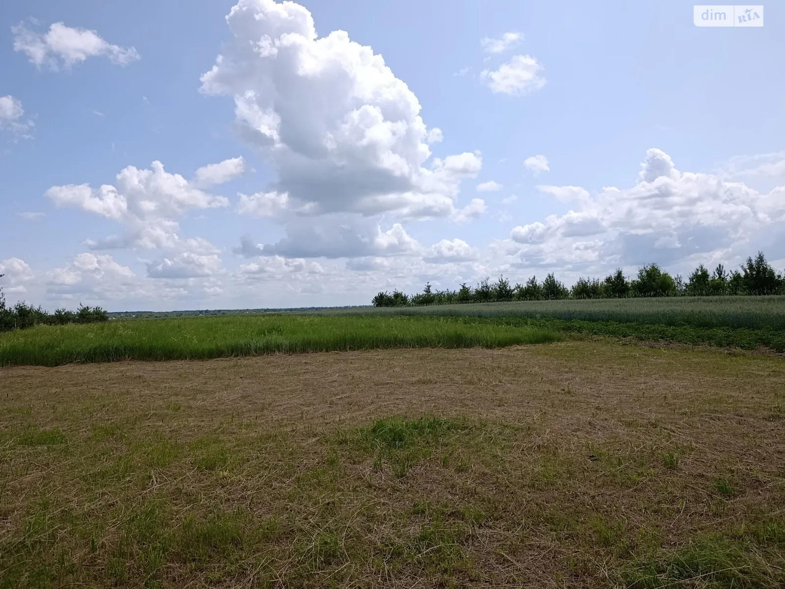 ул. Винницкая Дашковцы, цена: 16500 $ - фото 1