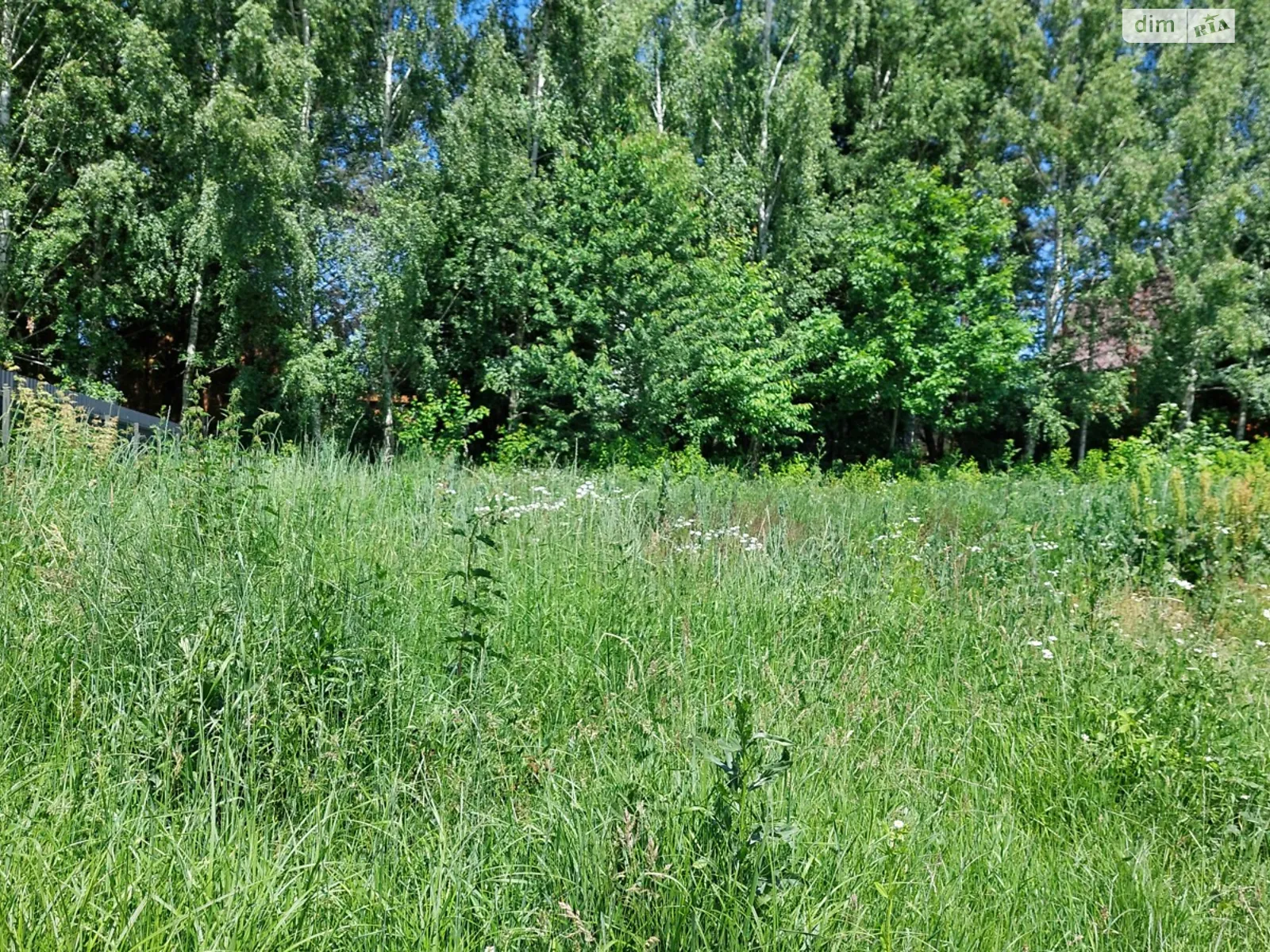 пер. Софиевский Агрономичное, цена: 40000 $ - фото 1